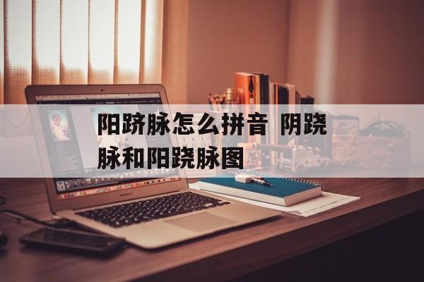 阳跻脉怎么拼音 阴跷脉和阳跷脉图-第1张图片-