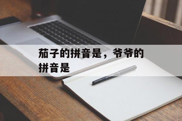 茄子的拼音是，爷爷的拼音是-第1张图片-