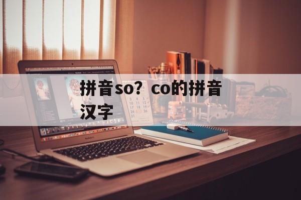 拼音so？co的拼音汉字-第1张图片-